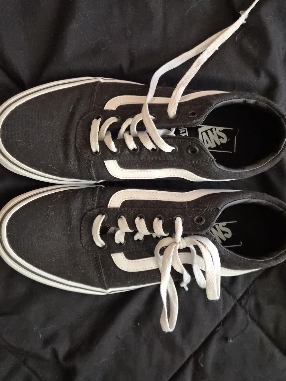 Vans Black and White Old Skool Low-Top Sneakers